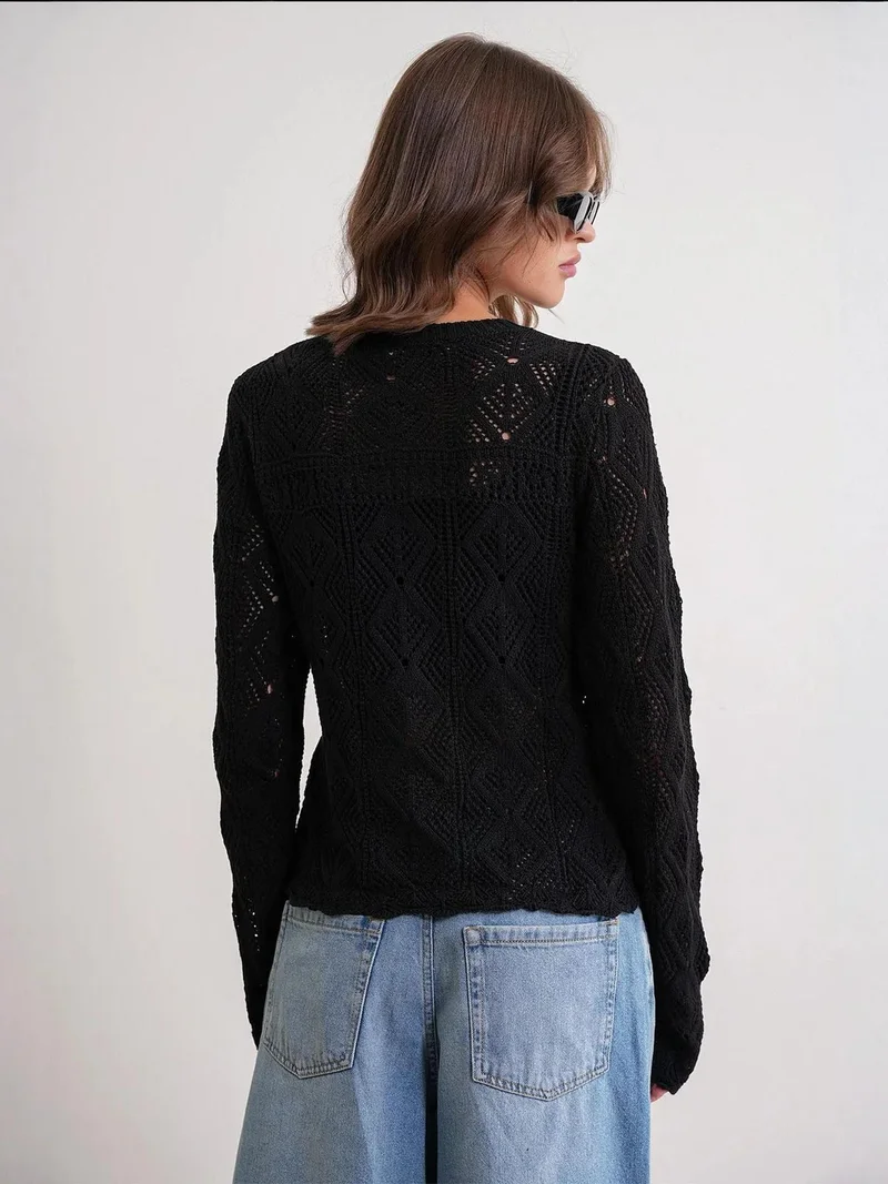 MixRay Mixray Textured Knit Sweater with Crew Neck
