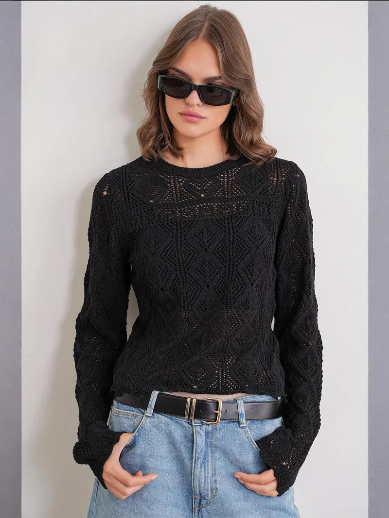 MixRay Mixray Textured Knit Sweater with Crew Neck