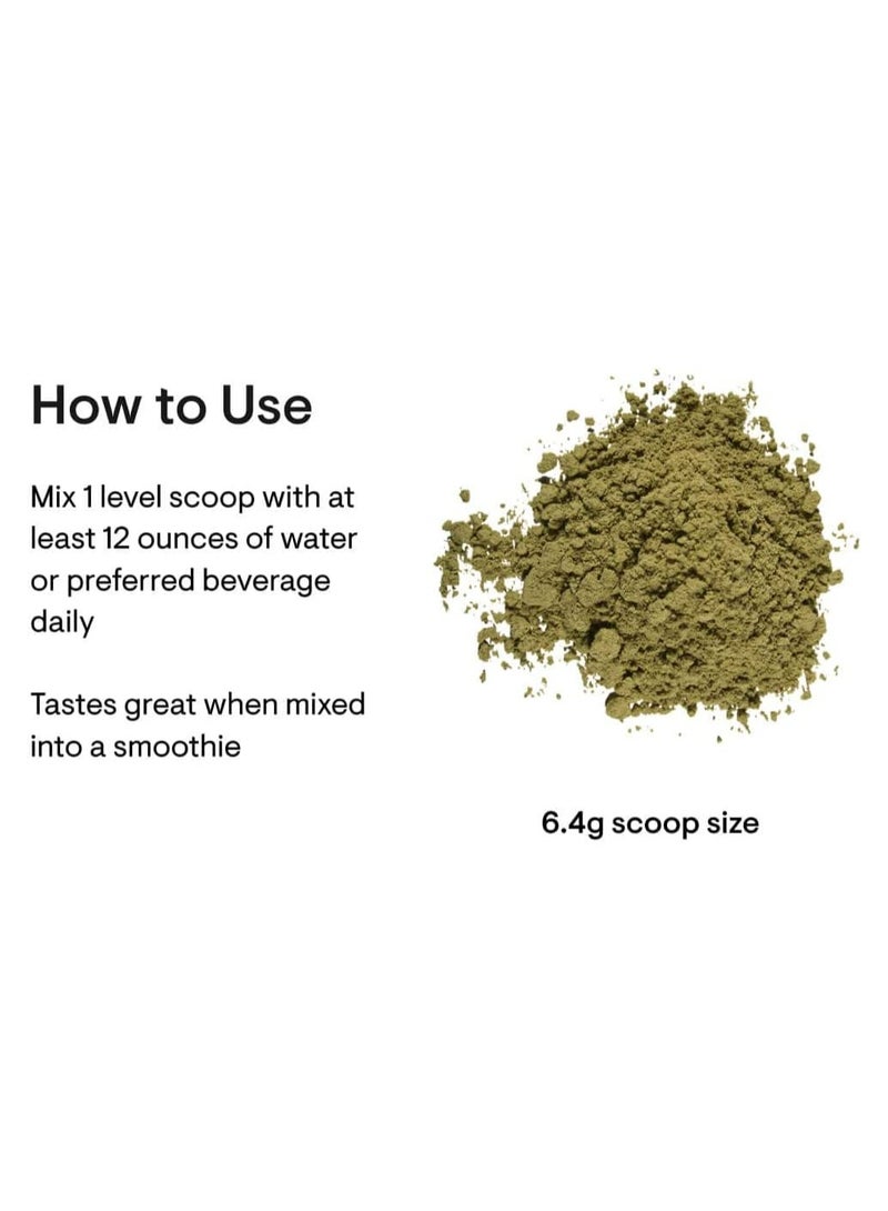 Thorne Daily Greens Plus - 28 Powerhouse Ingredients for a Healthy Mind and Body, Dietary Supplement, ,7.3 OZ, 207 G 204g - Image 3