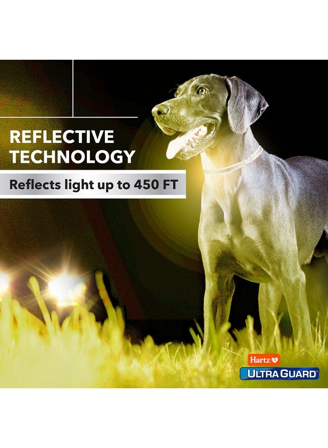 هارتز طوق Ultraguard Pro العاكس ضد البراغيث والقراد للكلاب والجراء، يمنع البراغيث والقراد لمدة 7 أشهر لكل طوق، عدد 1 - Image 5