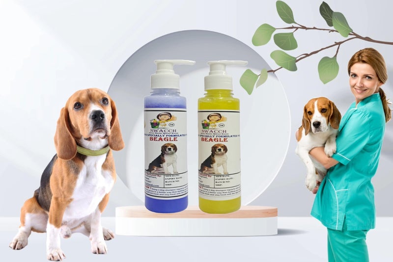 SWACCH Premium Shampoo for Beagle (200ML)(Combo Pack of 2) Lavender & Lemon - Image 2