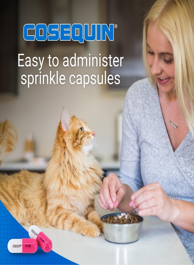 Nutramax Laboratories Nutramax Cosequin Joint Health Supplement for Cats - With Glucosamine and Chondroitin, 80 Capsules (Pack of 2) - Image 3