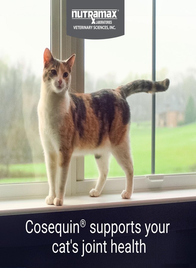 Nutramax Laboratories Nutramax Cosequin Joint Health Supplement for Cats - With Glucosamine and Chondroitin, 80 Capsules (Pack of 2) - Image 2