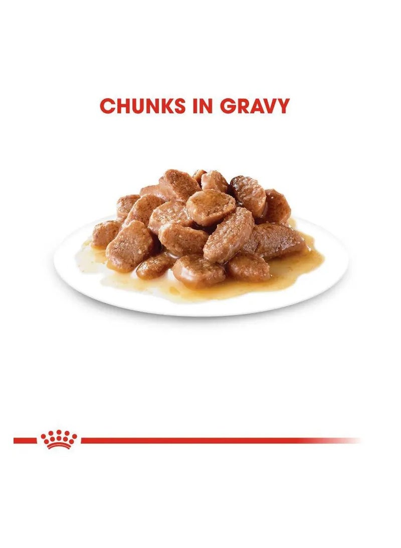 رويال كانين ROYAL CANIN FELINE CARE NUTRITION HAIRBALL GRAVY WET FOOD 12 X 85G - Image 2