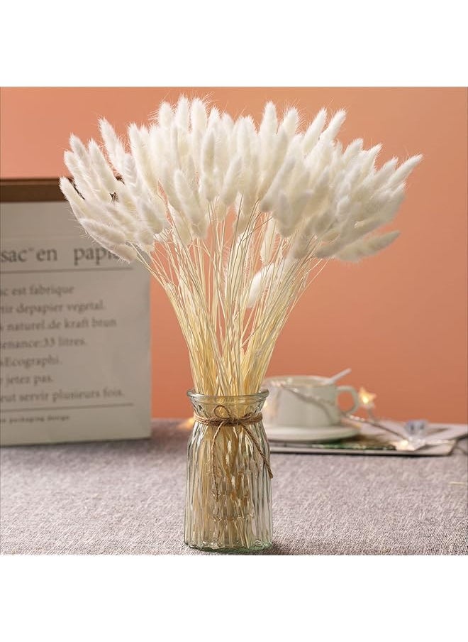 erorex Natural Dried Bunny Tail Grass - 110~120 Stems Rabbit Tail Grass, Lagurus Ovatus for Boho Decor, Dried Pampas Grass Flower Arrangements Wedding Home Kitchen Office Decor (White)  - Image 1