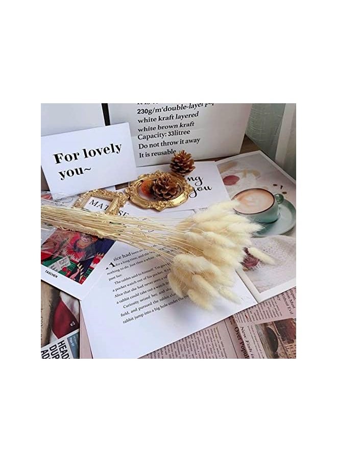 erorex Natural Dried Bunny Tail Grass - 110~120 Stems Rabbit Tail Grass, Lagurus Ovatus for Boho Decor, Dried Pampas Grass Flower Arrangements Wedding Home Kitchen Office Decor (White)  - Image 4