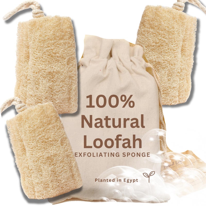 CraftsOfEgypt Egyptian Natural Loofah Sponge Exfoliating Body Scrubber - Our Bath Loofahs Provide a Refreshingly Deep Clean to Your Face & Body - These Luffa Sponges Are Skin-Friendly & Vegan - 6 x 6 Inches, 3 Pack - Image 1