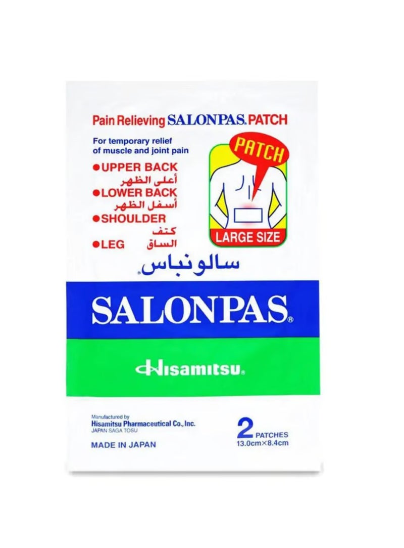 Salonpas Pain Relieving Patches  2 Patches