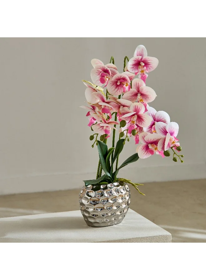 Home Box Areos Orchid Flower Arrangement with Hammered Ceramic Pot - 52 cm