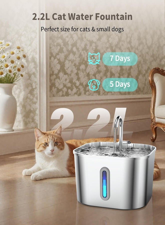 Vekonn Cat Water Fountain Stainless Steel, 74oz/2.2L Cat Fountain with Quiet Pump, Automatic Pet Water Dispenser, Ideal for Multi-pet Homes, Fresh & Clean Water for Cats and Dogs - Image 2