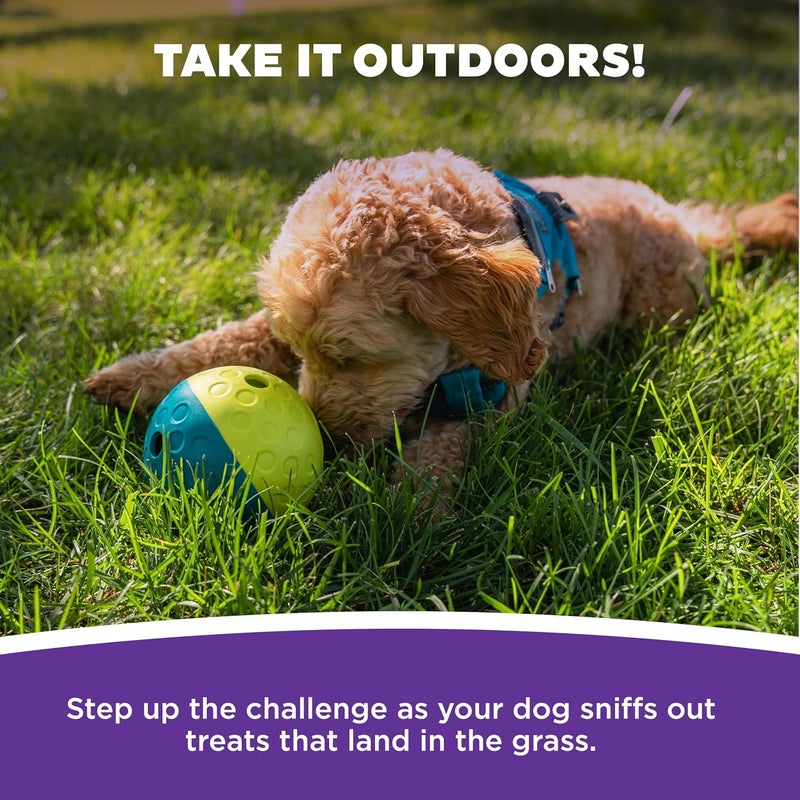 اوتورد هاوند لعبة الكلب التفاعلية من Outward Hound Nina Ottosson Treat Tumble الزرقاء، لعبة ألغاز توزيع المكافآت، صغيرة الحجم - Image 5