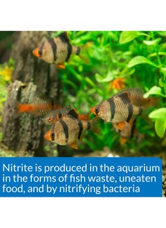 API Nitrite Aquarium Water Quality Test Kit, 150 Gram, 1 Piece  - Image 5
