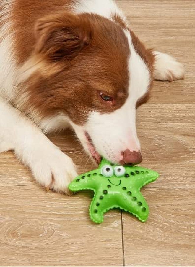 Smart Pups ألعاب النجوم الصريرية للكلاب من سمارت بابز، قد يختلف اللون، قطعة واحدة - Image 1