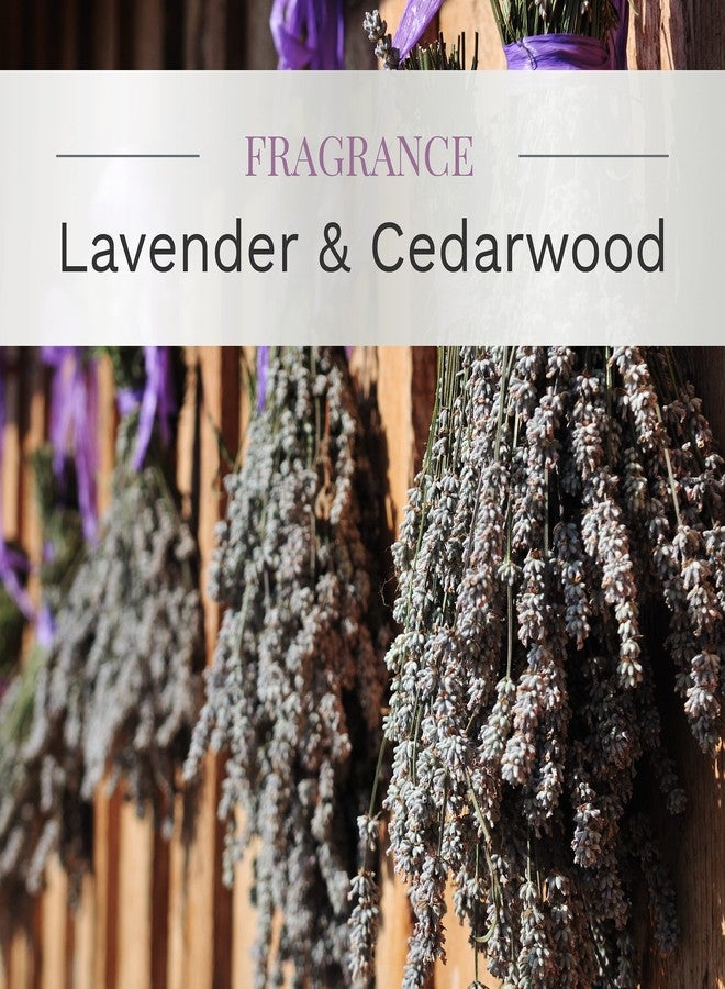 CANDLE-LITE Candlelite Essential Elements 9-Ounce Boxed Jar Candle with Soy Wax, Lavender and Cedarwood - Image 2