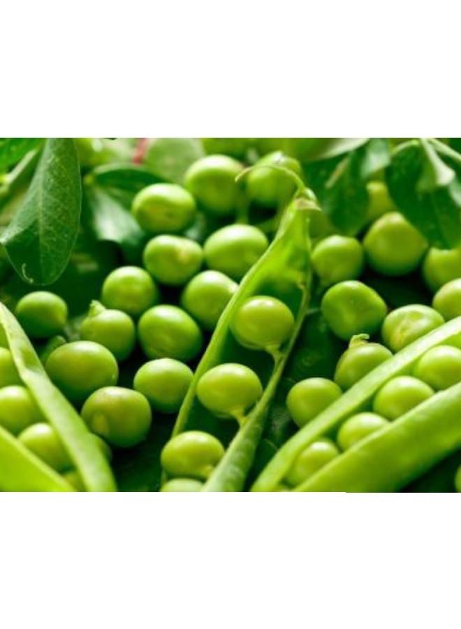 ماكاتي دجر أخضر 250 جرام - Image 2