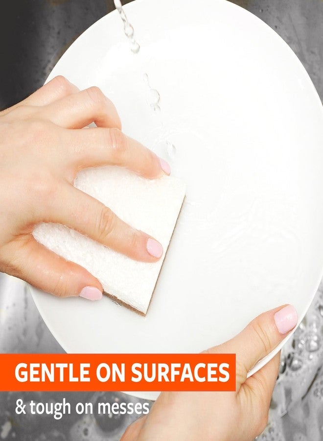 Full Circle in a Nutshell, Walnut and Cellulose Scrubber Sponges - Pack of 6 - Powerful, Non-Scratch Kitchen Sponges Made with Plant-Based Sustainable Materials, Safe for Nonstick Cookware - Image 3