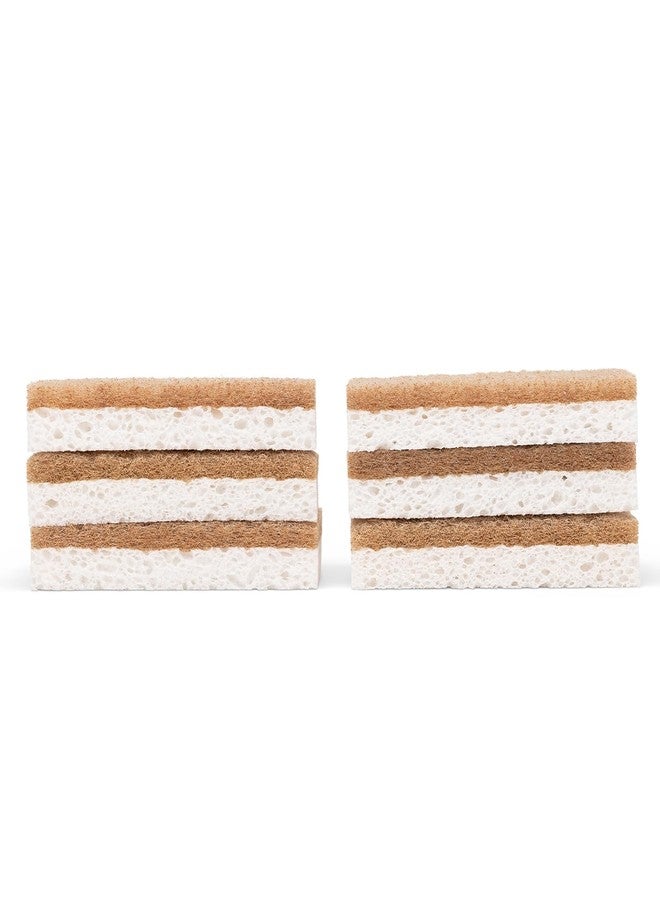 Full Circle in a Nutshell, Walnut and Cellulose Scrubber Sponges - Pack of 6 - Powerful, Non-Scratch Kitchen Sponges Made with Plant-Based Sustainable Materials, Safe for Nonstick Cookware - Image 1