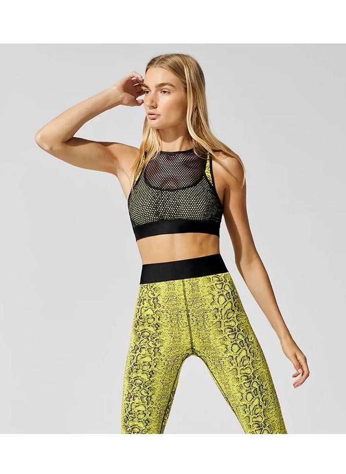 Dee trimmer High-Waist Luxury Active Leggings for Women | Gym Workout Sports Leggings | Yoga and Casual Fitness Wear | Tummy Control Slimming Leggings  - Image 2