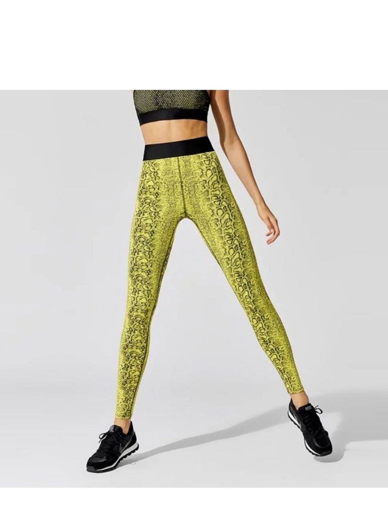 Dee trimmer High-Waist Luxury Active Leggings for Women | Gym Workout Sports Leggings | Yoga and Casual Fitness Wear | Tummy Control Slimming Leggings  - Image 1