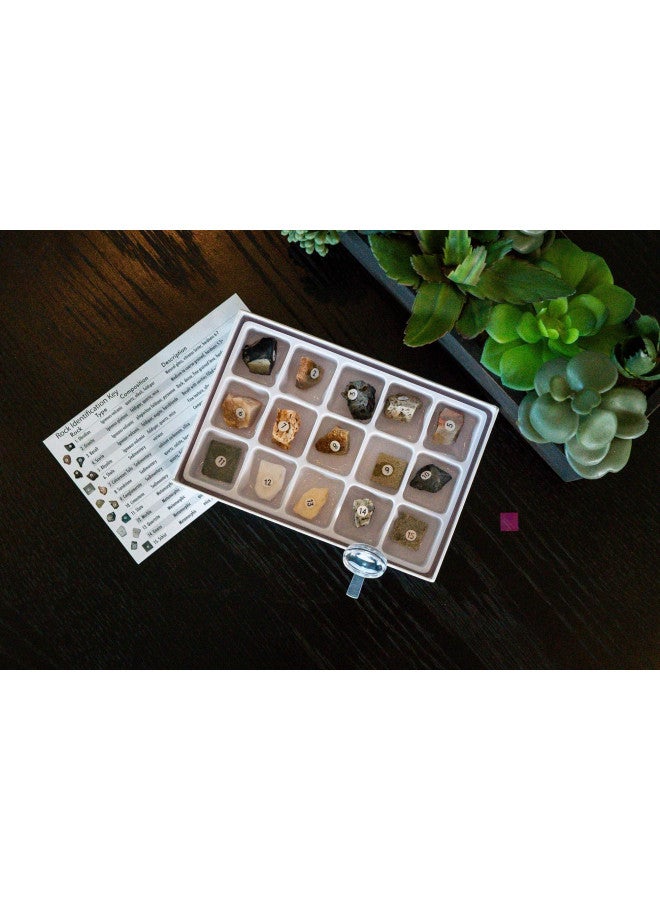 Toysmith مجموعة علوم الصخور للأطفال الجيولوجيين - لعبة STEM لمعينات المعادن - Image 4