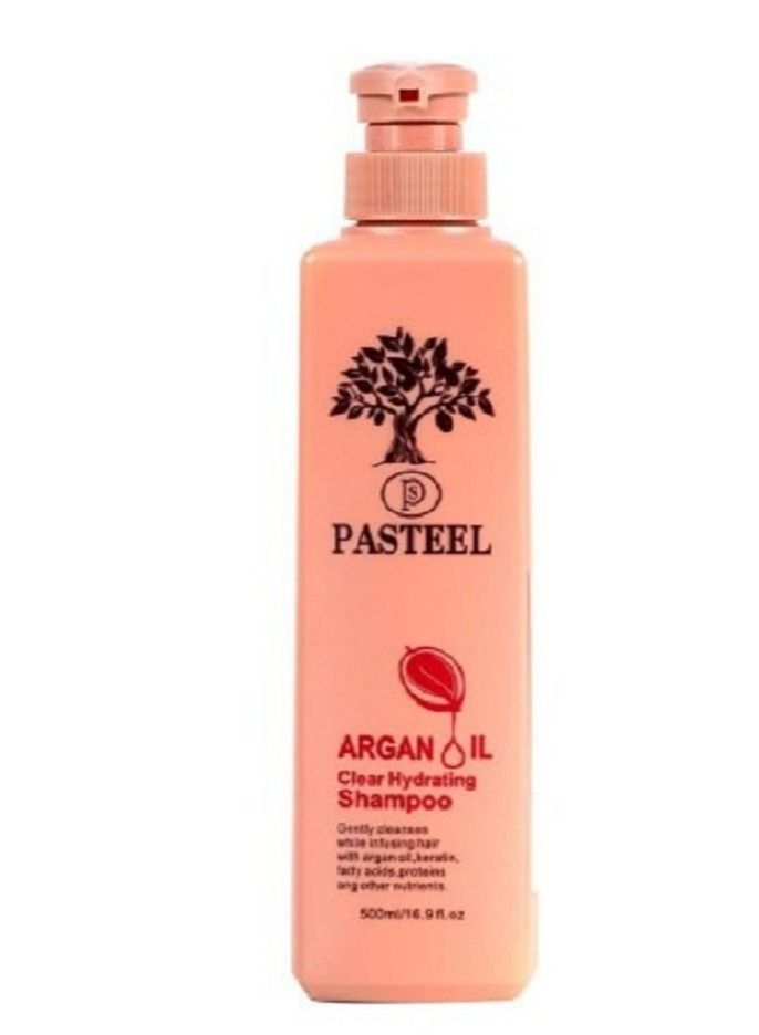 PASTEEL Pastel shampoo with argan oil 500 ml