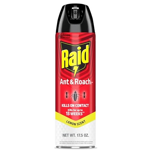 Raid Ant & Roach Killer Spray For Listed Bugs, Keeps Killing for Weeks, Lemon Scent, 17.5 oz - Image 1
