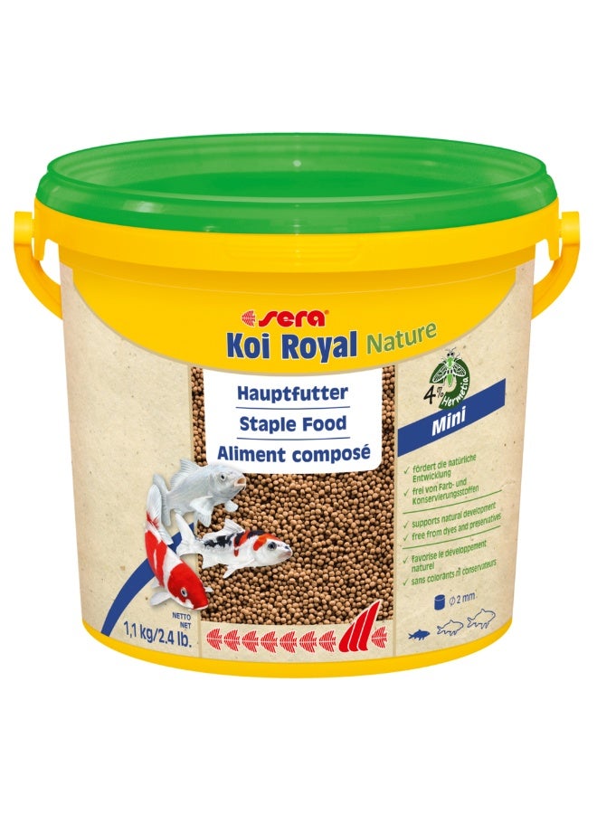 Sera Koi Royal Nature Mini[Volume - 3.8L] - Image 1