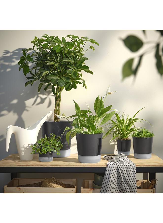 Zaboon Self-Watering Plant Pot, In/Outdoor Transparent/Anthracite, 15 Cm - Image 4