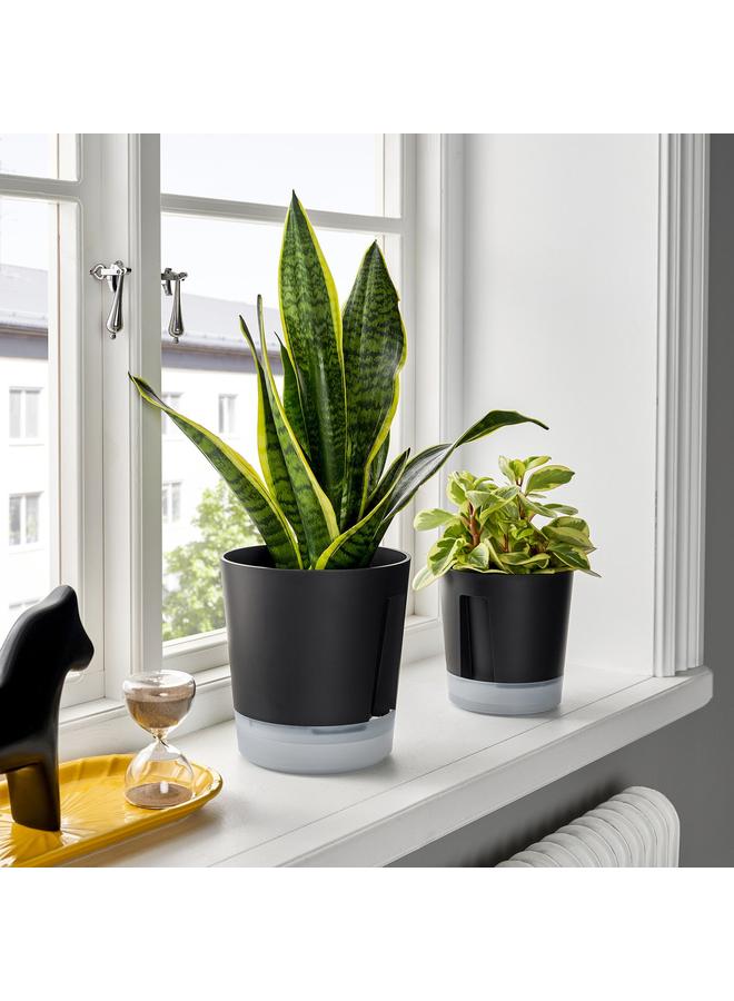 Zaboon Self-Watering Plant Pot, In/Outdoor Transparent/Anthracite, 15 Cm - Image 3