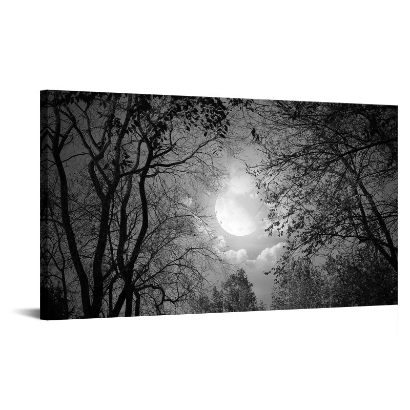 Visual Art Decor Black and White Full Moon Picture Wall Decor Nature Forest Landscape Wall Art Night Scenery Art Print Framed Ready to Hang, 20inchx36inch - Image 1