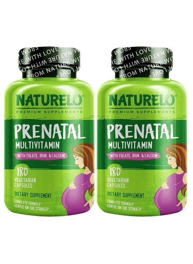 NATURELO فيتامينات متعددة للحمل مع حديد مخلب لطيف، ميثيل فولات، كالسيوم نباتي وكولين - نباتي، نباتي - غير معدّل وراثيًا - خالي من الغلوتين - 360 كبسولة - إمداد لمدة 4 أشهر - Image 1
