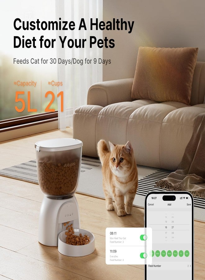 DUDUPET Automatic Cat Feeder with WiFi, App Control Automatic Pet Feeder, 5L Cat Food Dispenser Remote Feeding,10 Meals Programmable 1-15 Portion Control with Stainless Steel, Auto Dog Feeders Dry Food Only - Image 3