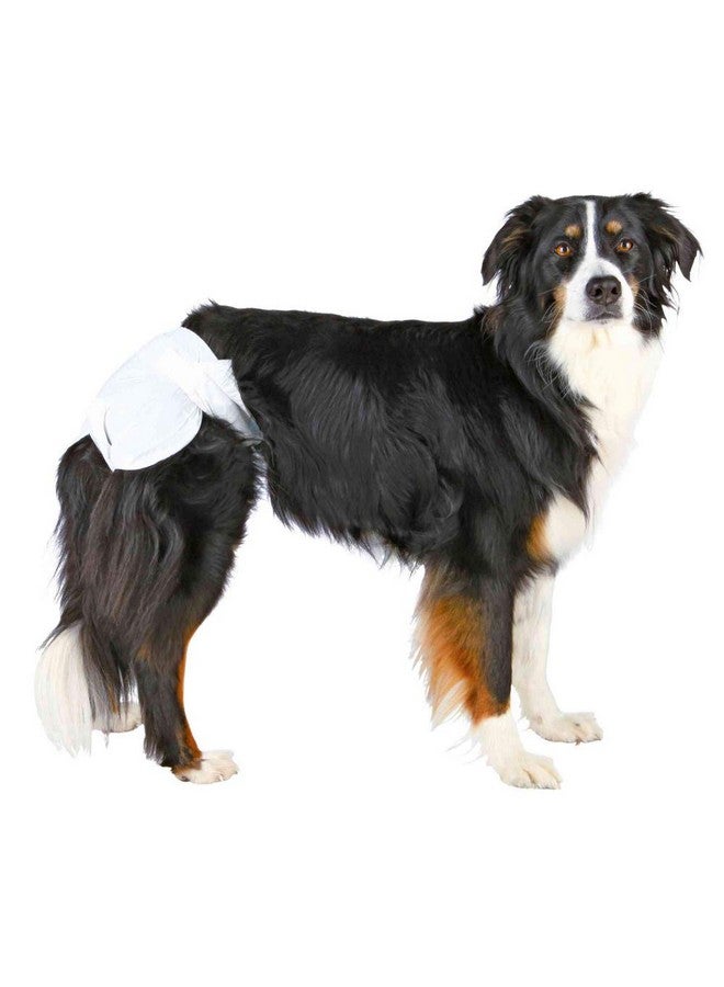 Trixie Disposable Diapers For Female Dogs, Designed For Dogs In The Season To Prevent Staining Of Carpets & Other Fabrics, Highly Absorbent And Easy To Use - Xs-S: 20-28 Cm, 12 Pcs - Image 2