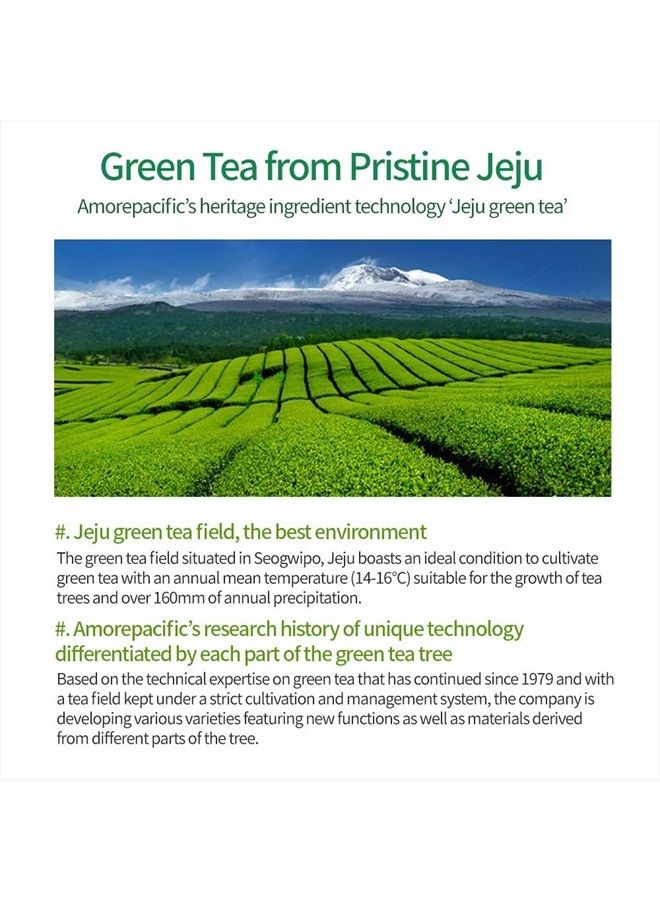 amos PROFESSIONAL شامبو الشاي الأخضر [طازج - لفروة الرأس الدهنية] 17.6 أونصة (500 جرام) | شامبو مضاد للتساقط ومضاد لفقدان الشعر لنمو الشعر وتنظيف الزهم الزائد | علامة تجارية لصالون الشعر الكوري - Image 5