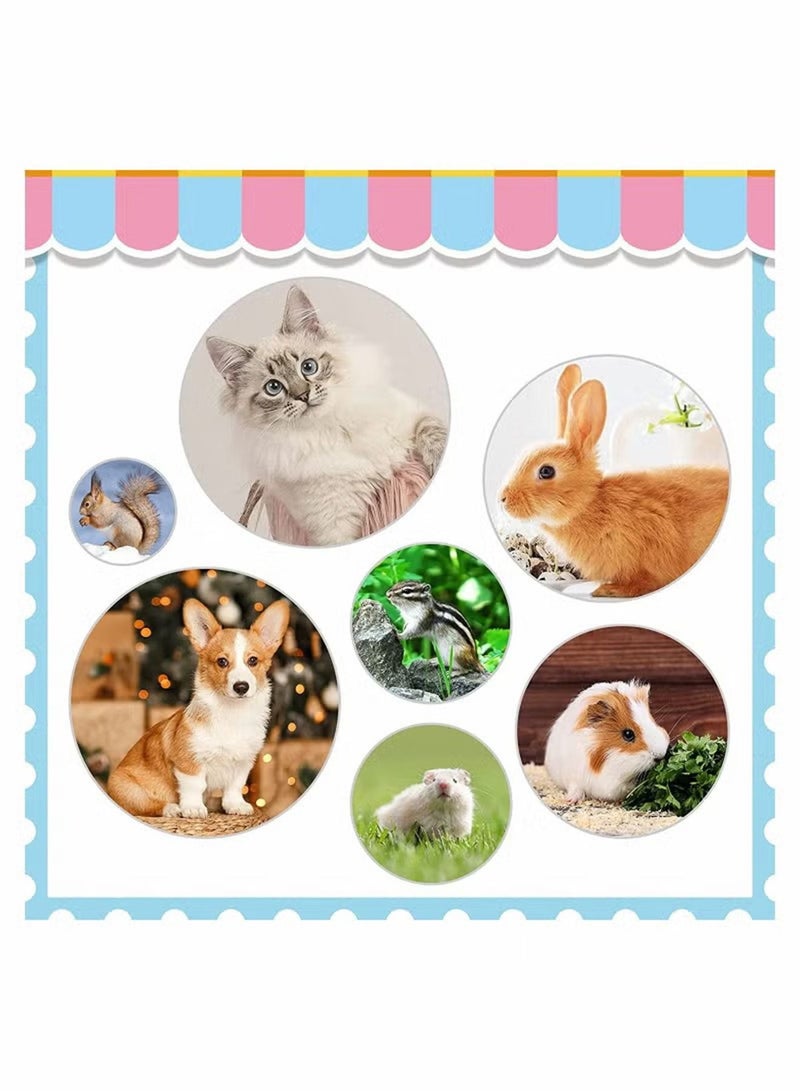 1 PCS Cat Dog Grooming Brush for Dogs Shedding Pet Hand-Held Rubber Tipped Pin Brush for Dogs and Cats Shedding - Image 2