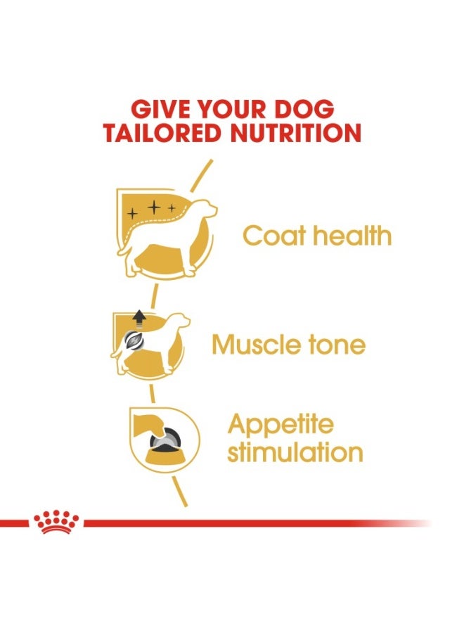 ROYAL CANIN Breed Health Nutrition Poodle Adult (WET FOOD - Pouches) 12 x 85g - Image 1