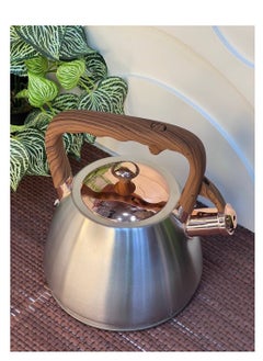 Teapot with stainless steel whistle, 3 litre capacity