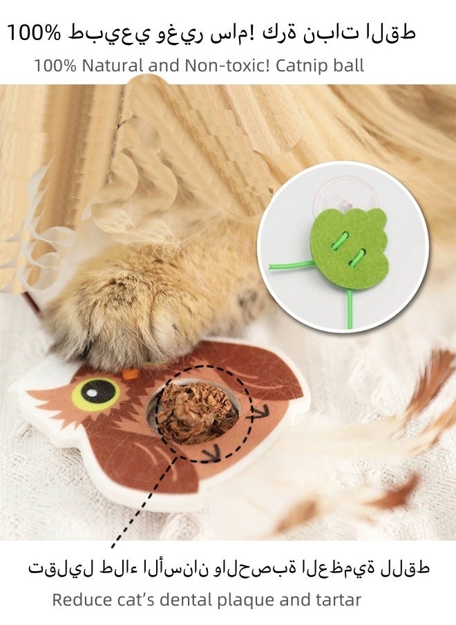 Generic - 2PCS Self-Play Retractable Teaser Toy Hanging Cat Toys for Indoor Cats with Catnip Balls  Silvervine Gall Fruit，Interactive Hanging Door Bouncing Cat Toy - Image 1