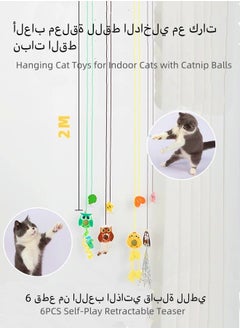 2PCS Self-Play Retractable Teaser Toy Hanging Cat Toys for Indoor Cats with Catnip Balls  Silvervine Gall Fruit，Interactive Hanging Door Bouncing Cat Toy