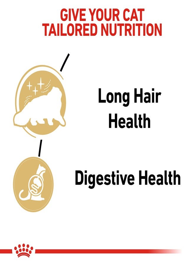 رويال كانين طعام القطط رويال كانين للقطط البالغة من سلالة فارسية، رغيف في صلصة، 3 أونصة (عبوة من 6 قطع) - Image 4