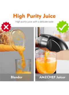 amzchef Juicer Machines Cold Press Slow Juicer Masticating Juicer for Whole Fruits and Vegetables Delicate Chew No Need to Filter BPA Free Juice Extractor Grey  - Image 5