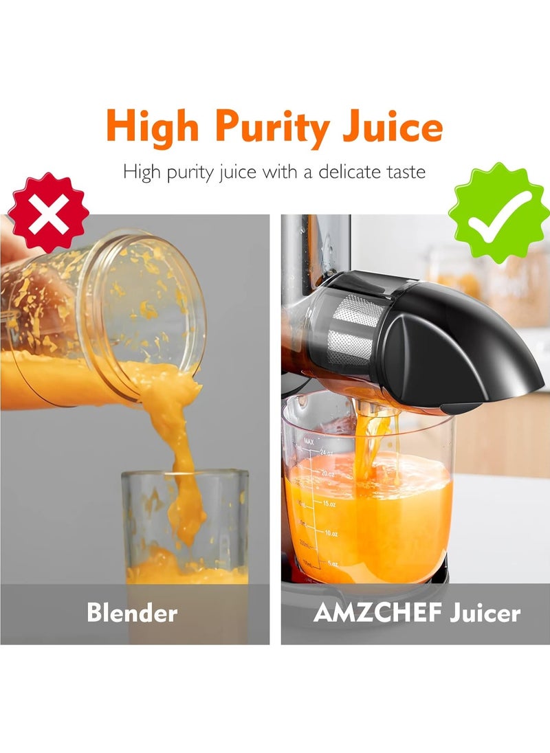 amzchef Juicer Machines Cold Press Slow Juicer Masticating Juicer for Whole Fruits and Vegetables Delicate Chew No Need to Filter BPA Free Juice Extractor Grey  - Image 5