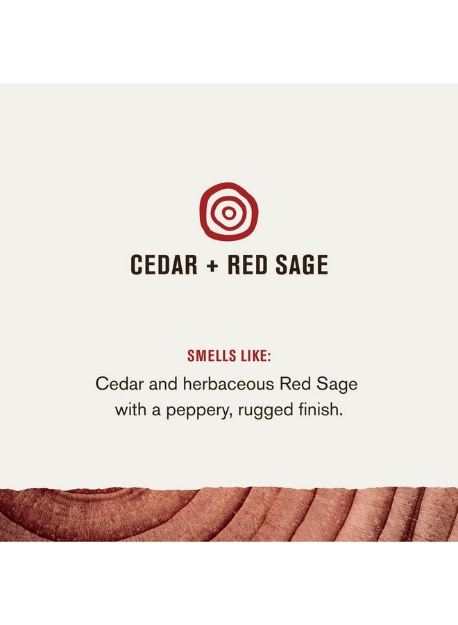 إيفري مان جاك غسول الجسم والشامبو والبلسم المرطب للرجال 3 في 1 من Every Man Jack Cedar + Red Sage لجميع أنواع البشرة والشعر - غسول للجسم بمكونات طبيعية - 28.8 أونصة (عبوة من قطعتين) - Image 4