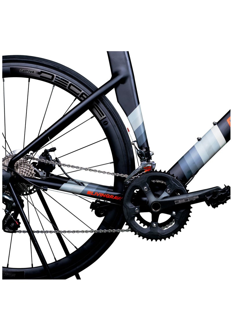 REF. REF. RX01 (Alloy Frame, Carbon Fiber Fork)  - Image 2