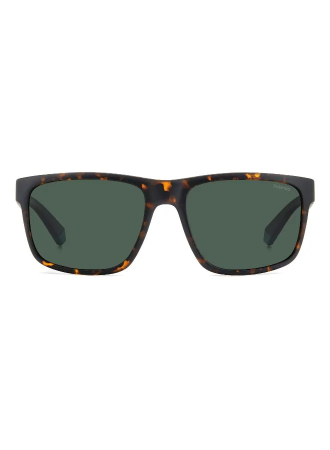 Polaroid Wayfarers Sunglasses