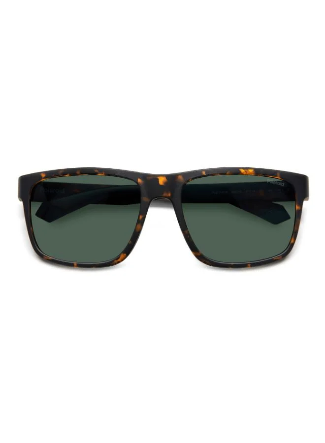 Polaroid  Wayfarers Sunglasses for Men | Best Price UAE