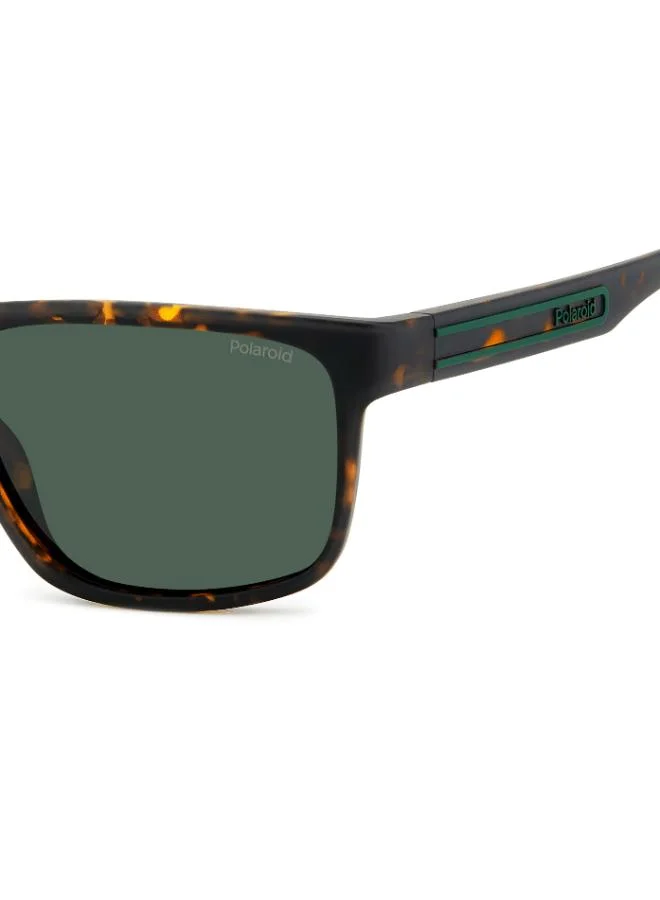 Polaroid  Wayfarers Sunglasses for Men | Best Price UAE