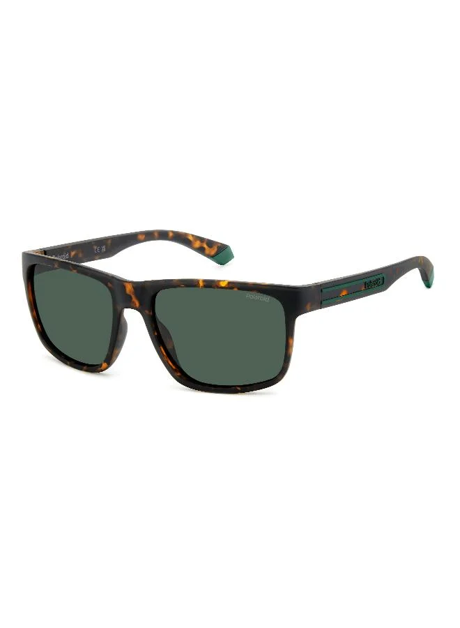 Polaroid  Wayfarers Sunglasses for Men | Best Price UAE