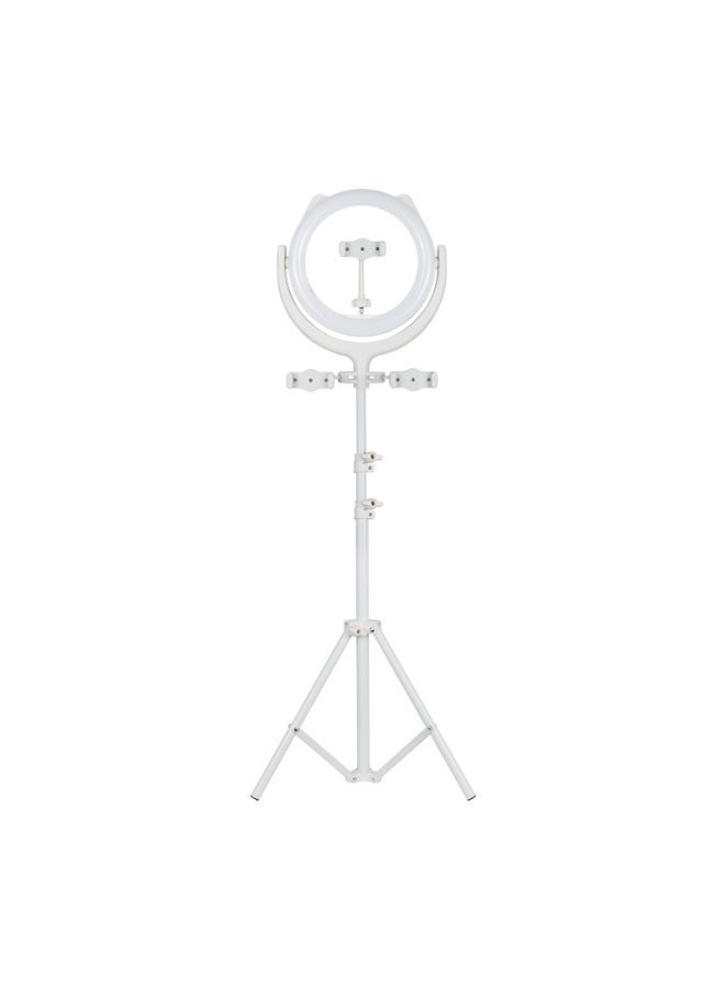 Mobile Phone Bracket Multi-position Live Broadcast Tripod Floor Video Fill Light Thermometer Support Frame Wholesale-Specifications:White 1.6m Bare Rack  - Image 5