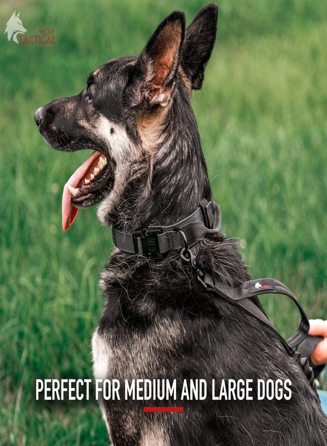 Wolf Tactical Dog Collar - Heavy Duty Military Collar for Large Breeds - Black, XL - Image 5